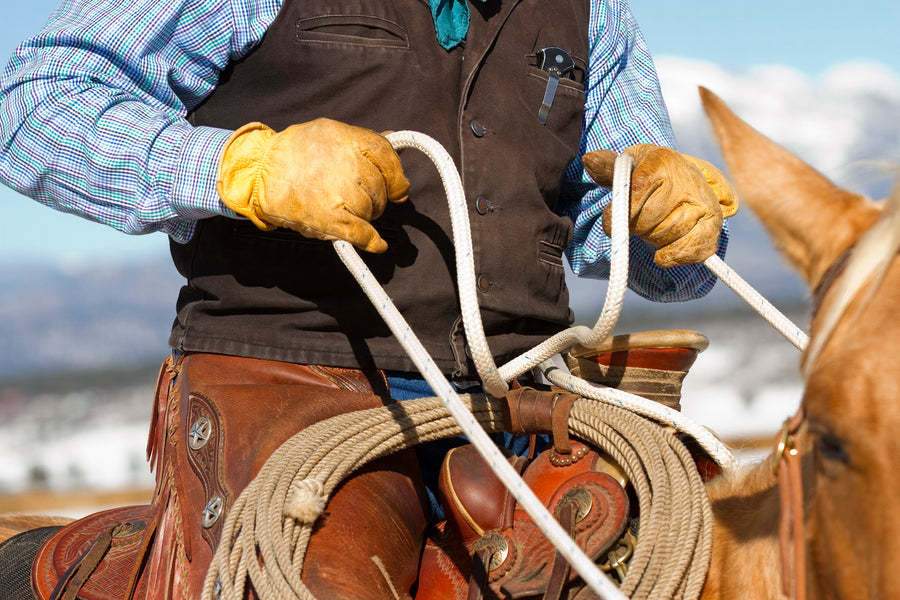 Ravenox Horse Tack | Horse Leads, Lunge Lines & Halters