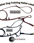 Side view of the Ravenox Artisan Leather Dog Training Halter & Leash, demonstrating the gentle control and comfortable fit for dogs. (8654973468909)