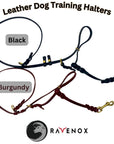 Front view of a dog wearing the Ravenox Artisan Leather Dog Training Halter & Leash in burgundy, illustrating the no-pull solution in action. (8654973468909)