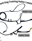 Ravenox Artisan Leather Dog Training Halter & Leash in black, displayed with the safety cord connected to the dog's regular collar for added security. (8654973468909)