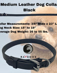 Medium - Black Latigo Leather Dog Collar (Front View) Strength and beauty combined. This black medium-sized collar will look amazing on your fur buddy. (7923369541869)