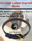 Extra Large - Brown Latigo Leather Dog Collar (Front View) The elegance of brown for the big buddies. Craftsmanship that's evident in every fiber. (7923369541869)