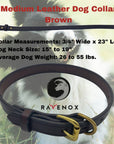 Medium - Brown Latigo Leather Dog Collar (Front View) A mid-sized collar in rich brown. A perfect blend of tradition and modernity. (7923369541869)