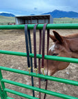 Three Ravenox leather horse leads in Chestnut, Dark Brown, and Black, draped on a fence with a horse in the Montana backdrop. (8213561540845)