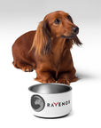Ravenox Stainless Steel Pet Bowl (8294101844205)