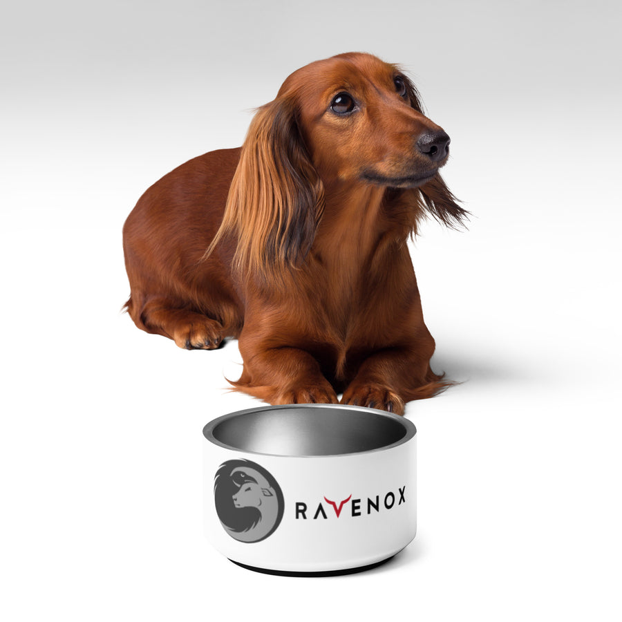 Ravenox Stainless Steel Pet Bowl (8294101844205)