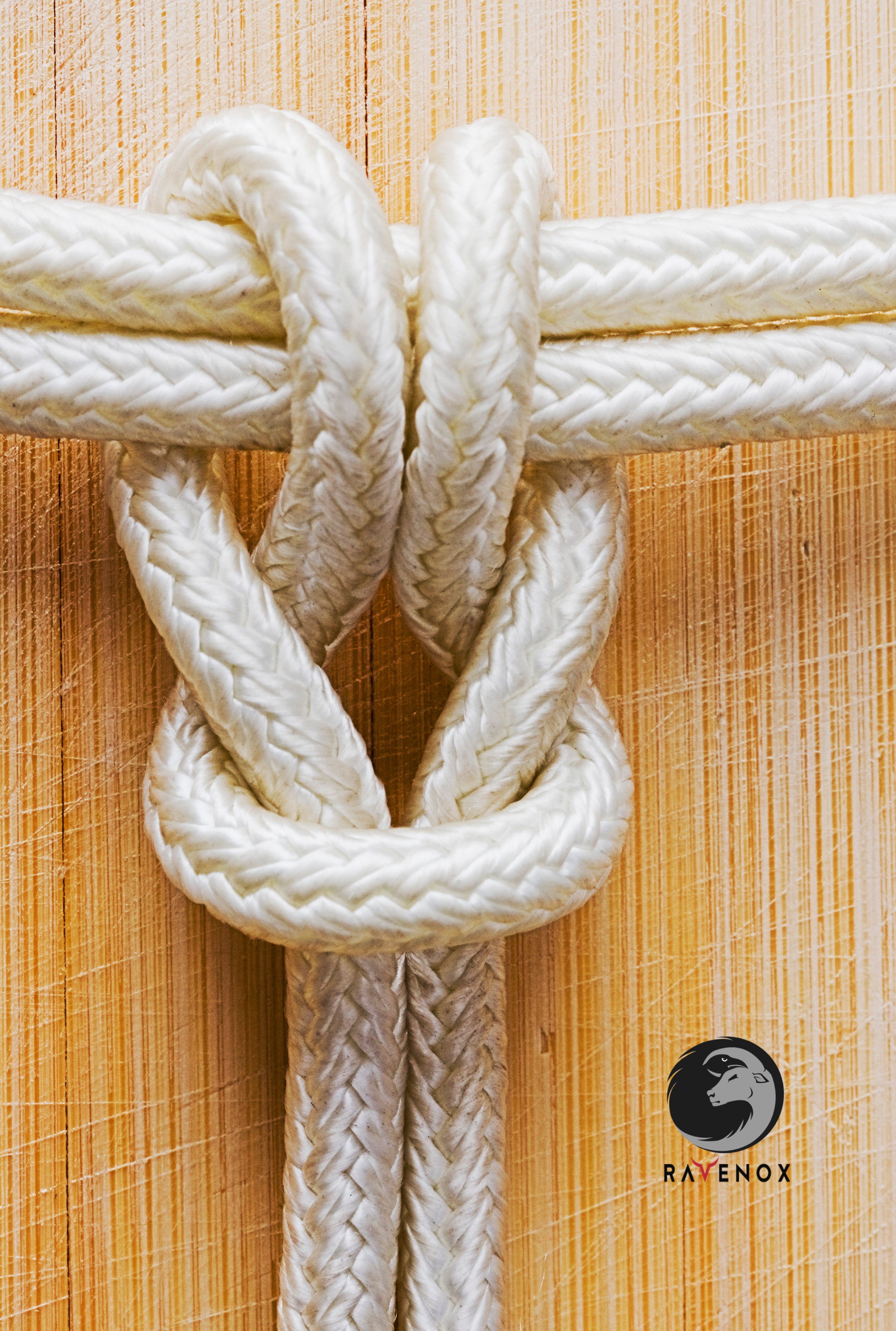 Ravenox Solid Braid Nylon Rope | Made in The USA, Milspec Cord White / 1/4-Inch x 100-Feet