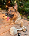 Ravenox dog toys tug chew dental hygiene fetch training knotted twisted hemp rope balls pet - Tan (7105505886408)
