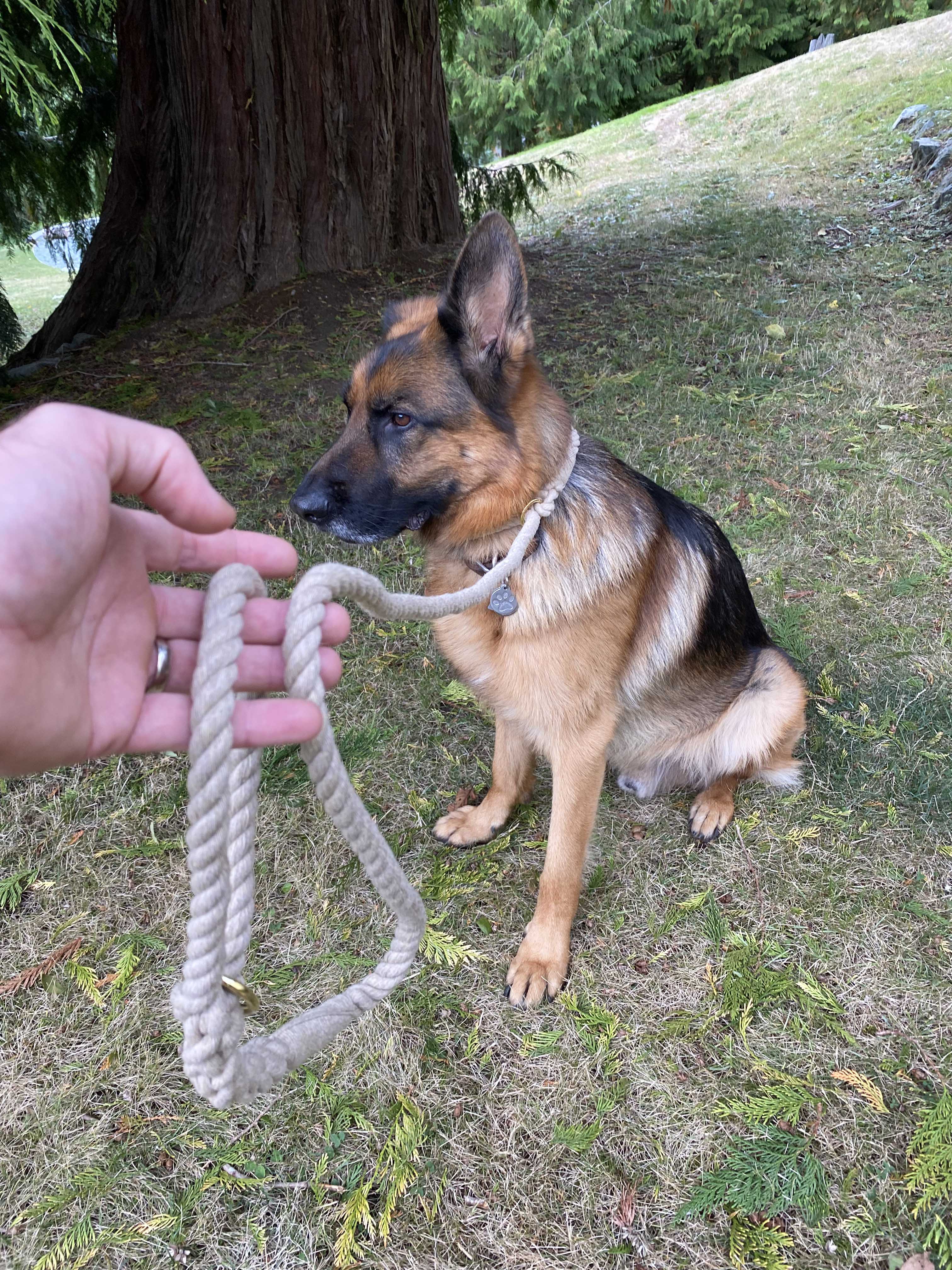 Hemp Slip Lead Rope Dog Leashes Dog Leashes For Dogs of All