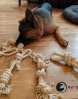 100% Organic Cotton Rope Knotted Dog Chew Toys Puppies Play Dental Hygiene (4288353566810)
