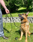 Blitzen the German Shepherd, Ravenox's mascot, proudly sporting the Multifunctional Leather Dog Leash with solid brass hardware, showcasing its 8-in-1 capabilities and premium Amish craftsmanship, perfect for any dog's size and training needs. (7838529061101)
