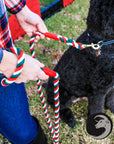 Twisted Cotton Rope (Christmas) (8345980801)