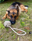 Ravenox dog toys tug chew dental hygiene fetch training knotted twisted hemp rope balls pet - Tan (7105505886408)