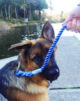 Handmade Twisted Cotton Rope Dog Leash (6132388659400)