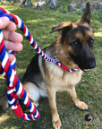 Handmade Cotton Slip Lead Dog Leash (1778149359706)