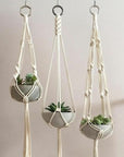 Twisted Cotton Rope (Natural White) (3712668161)