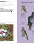 Book - A Purple Martin Journey (8547312909)
