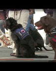 Handmade Braided  Latigo Leather Dog Leashes Brown Burgundy Black Puppy Leash Lead