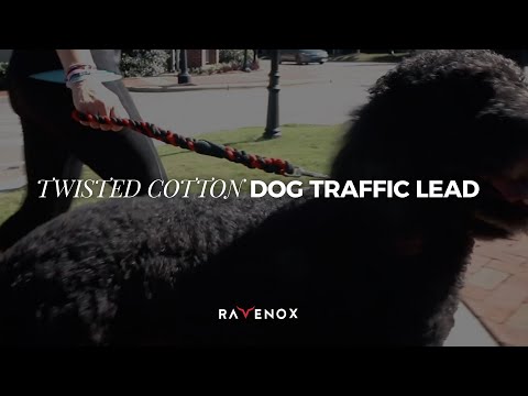 Handmade Cotton Traffic Handle Short Dog Leash
