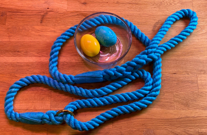 Ravenox Easter Egg Hunt For Dogs Dye Eggs Naturally