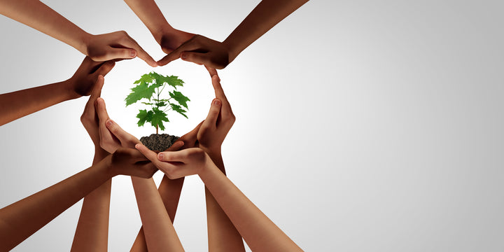 Ravenox Celebrates Earth Day 2020