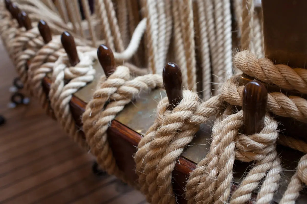 Browse From The Largest Selection Of Cord Rope and Bungee Cords – Ravenox