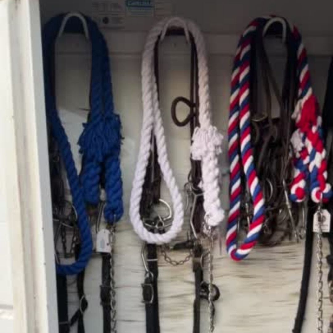 Ravenox red, white, and blue twisted cotton horse leads with chain and snap, hung in a barn alongside leather halters for horses. (1806013268058)