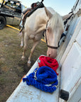 Ravenox red and blue twisted cotton horse leads with chain and snap attachments, draped on a horse trailer, with a curious horse sniffing them. (1806013268058)