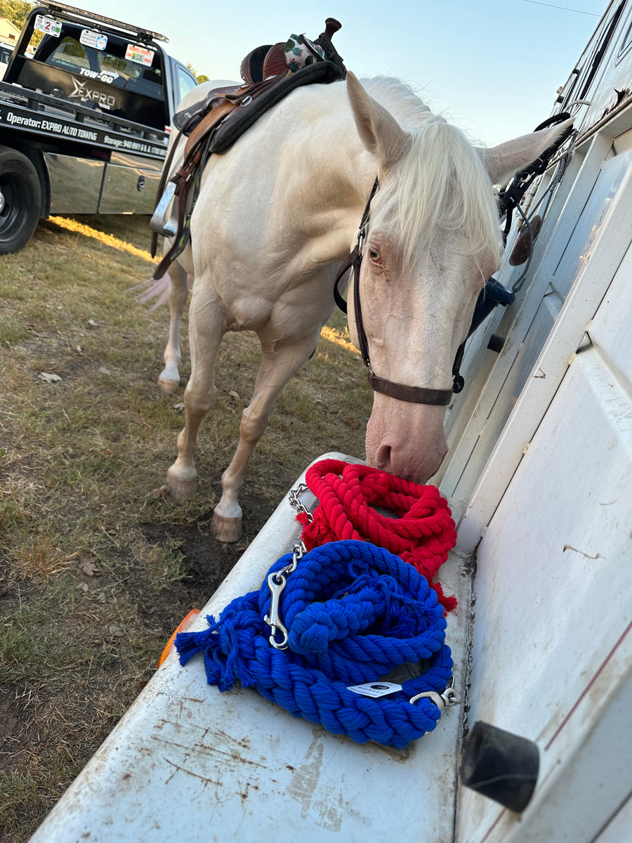 Ravenox red and blue twisted cotton horse leads with chain and snap attachments, draped on a horse trailer, with a curious horse sniffing them. (1806013268058)