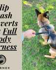 Ravenox Leather Slip Lead Dog Leash, Soft, Adjustable Handmade Black Latigo Amish Made in the USA No Hardware Leash Collar Combo for Dogs of All Sizes (8151699783917)