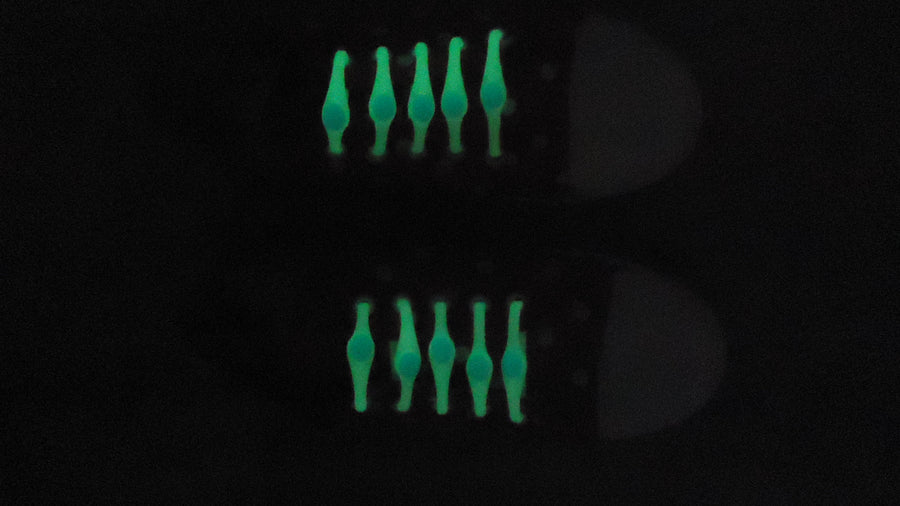 Glow in the Dark Elastic No Tie Shoelaces - Convenient and Luminous (8198507823341)