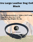 Extra Large - Black Latigo Leather Dog Collar (Front View) For the gentle giants. A black collar that spells class and durability. (7923369541869)