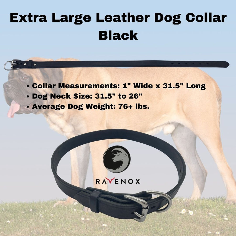 Extra Large - Black Latigo Leather Dog Collar (Front View) For the gentle giants. A black collar that spells class and durability. (7923369541869)