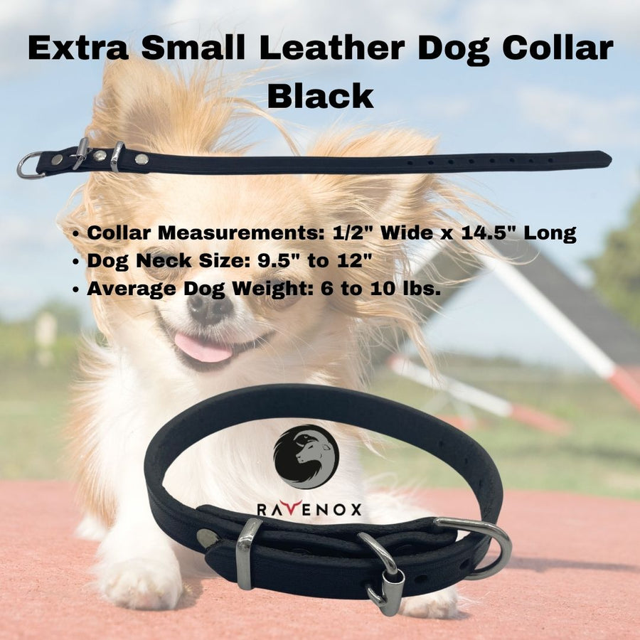  Extra Small - Black Latigo Leather Dog Collar (Front View) Simple yet elegant. This XS black latigo leather dog collar ensures strength and flexibility. Designed by Army Master Instructor of Canine Education, Mary Cortani. Made with love and care by our traditional Amish artisans. (7923369541869)