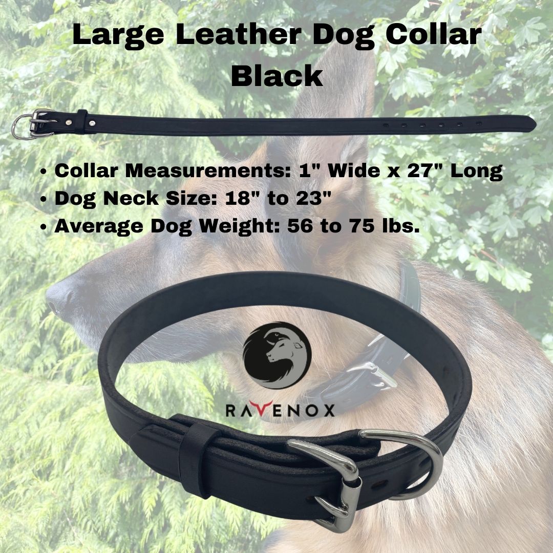 Large - Black Latigo Leather Dog Collar (Front View) For the big dogs with a refined taste. Black elegance combined with unmatched strength. (7923369541869)