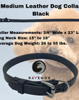  Medium - Black Latigo Leather Dog Collar (Front View) Strength and beauty combined. This black medium-sized collar will look amazing on your fur buddy. (7923369541869)