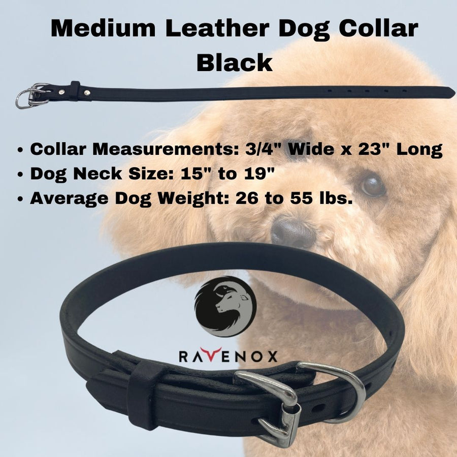  Medium - Black Latigo Leather Dog Collar (Front View) Strength and beauty combined. This black medium-sized collar will look amazing on your fur buddy. (7923369541869)