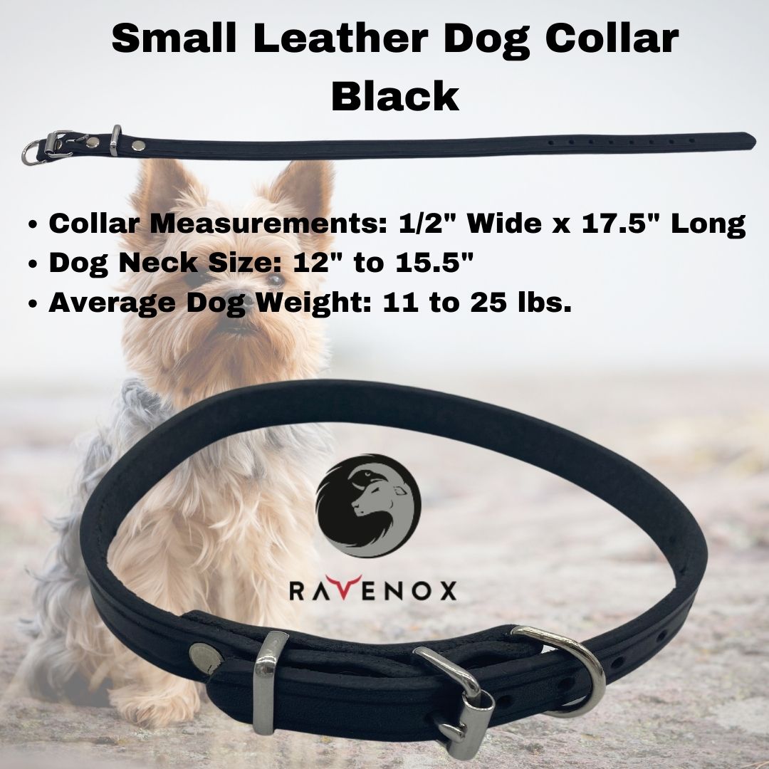 Small - Black Latigo Leather Dog Collar (Front View) For the slightly bigger buddies. This black small-sized collar merges functionality with elegance. Expertly designed by Mary Cortani. (7923369541869)