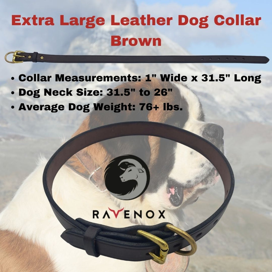 Extra Large - Brown Latigo Leather Dog Collar (Front View) The elegance of brown for the big buddies. Craftsmanship that's evident in every fiber. (7923369541869)
