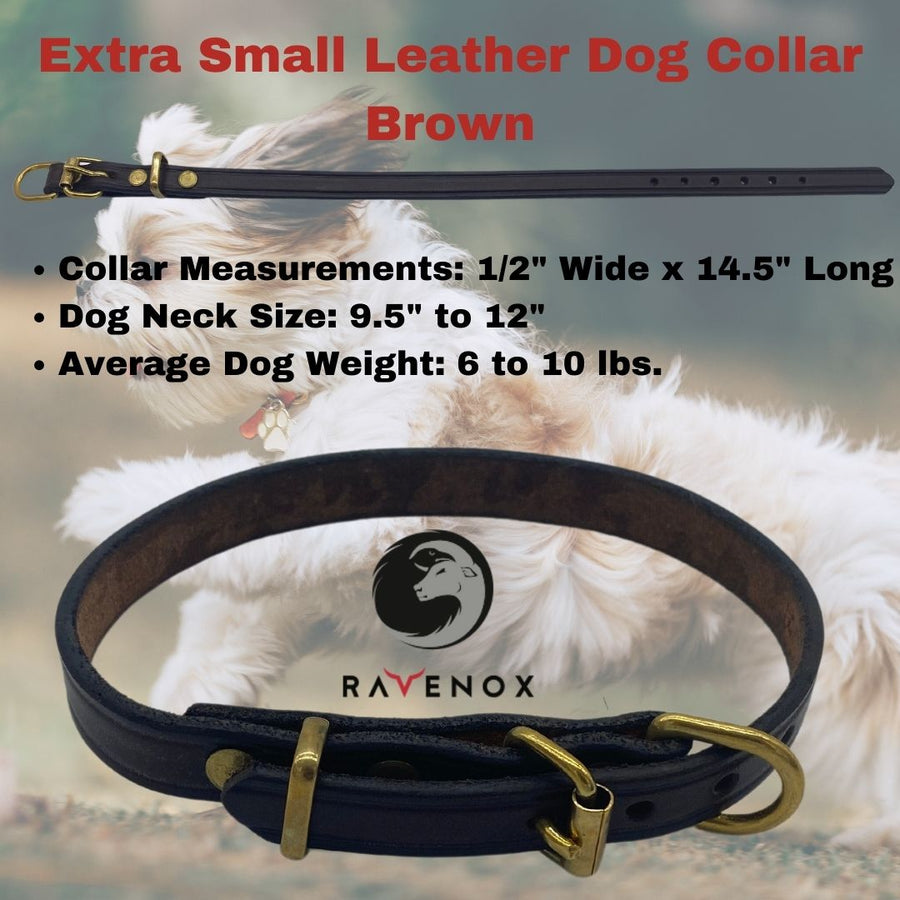 Extra Small - Brown Latigo Leather Dog Collar (Front View) A natural brown hue for the XS dog that enjoys a classic look. Handcrafted to perfection by our dedicated Amish artisans. (7923369541869)