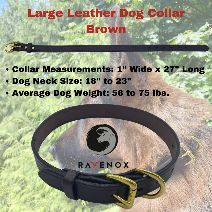 Large - Brown Latigo Leather Dog Collar (Front View) Rich brown leather for the larger canines. Handmade with passion and precision. (7923369541869)