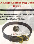 XX Large - Brown Latigo Leather Dog Collar (Front View) The elegance of brown for the big buddies. Craftsmanship that's evident in every fiber.  (7923369541869)