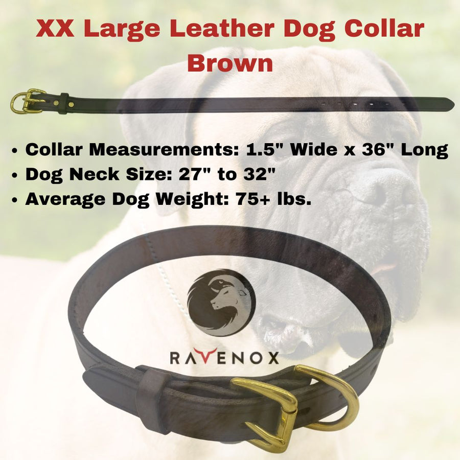 XX Large - Brown Latigo Leather Dog Collar (Front View) The elegance of brown for the big buddies. Craftsmanship that's evident in every fiber.  (7923369541869)