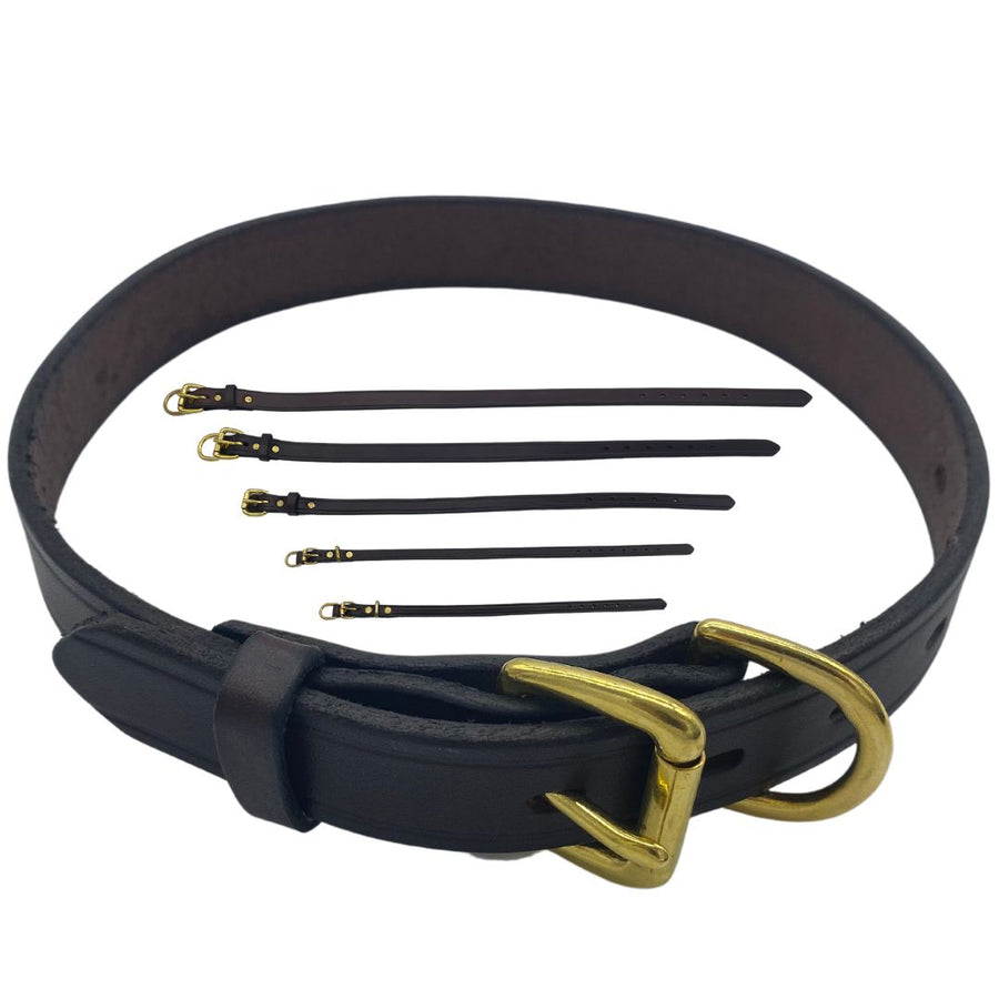 Variety of latigo leather dog collars in ascending sizes from Extra Small to Extra Large, displayed in both black and brown colors, highlighting their hand-beveled edges and premium hardware. (7923369541869)