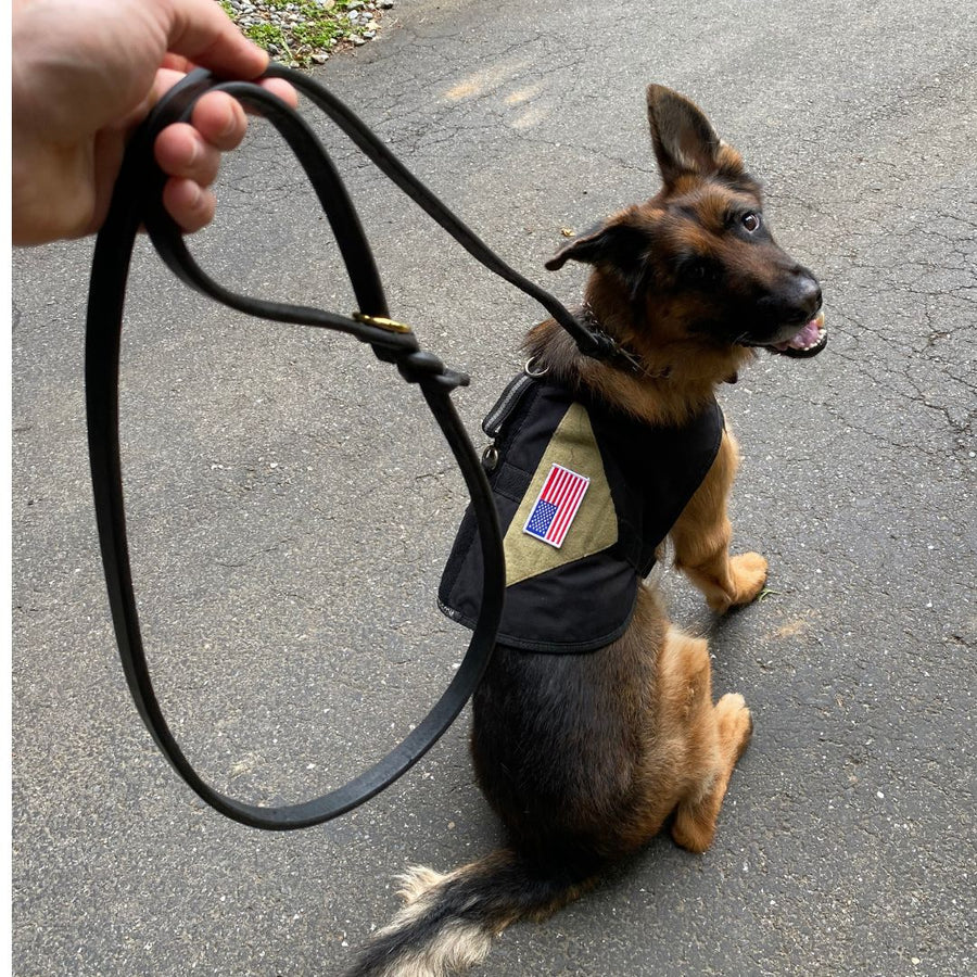 6 FT Braided Leather Dog Leash (7749496832237)