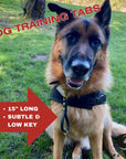 German Shepherd showcasing the Ravenox Leather Dog Training Pull Tab. Features a snug fit on the collar, touch reminder against the dog's chest, and a quick-grab loop for immediate control. Crafted for durability, it's a seamless blend of function and safety, enhancing training sessions. (8151719510253)