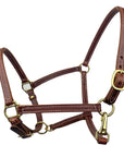Brown Ravenox Leather Breakaway Halter, elite horse accessory, Amish-made with brass hardware." (8233982951661)