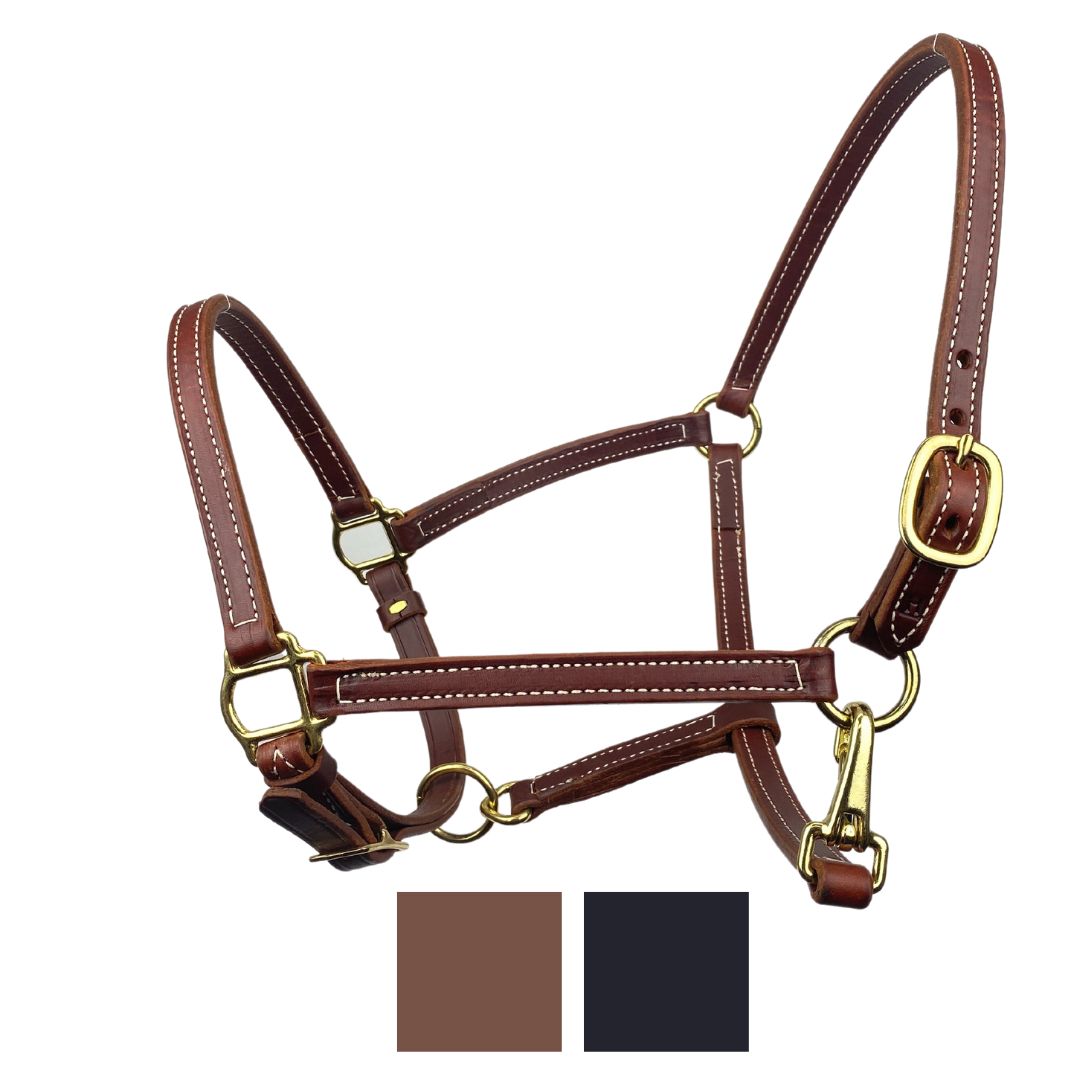 Ravenox Leather Breakaway Horse Halter main image with color swatches of black and brown. (8233982951661)