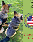 Ravenox Coupler Black Leather Dog Leash Splitter, Brace Leash for Walking 2 Dogs on 1 Leash, Tangle Free Dog Walking, Double Dog Walker (8151625892077)