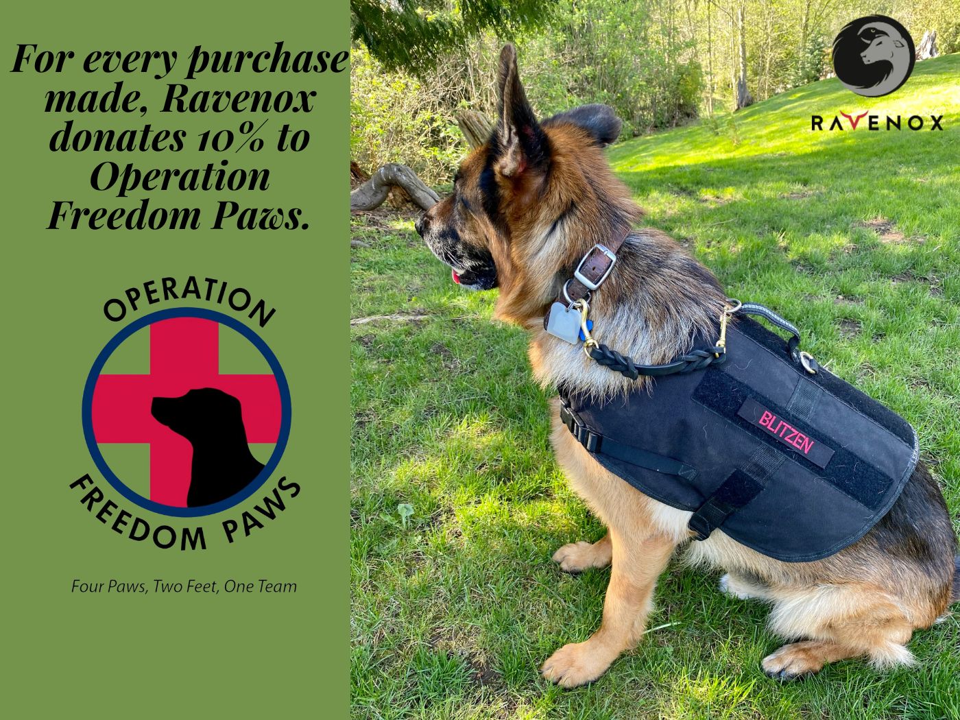 Leather Safety Cord Attachment Strap for Dog Collars and Harnesses (8092414836973)